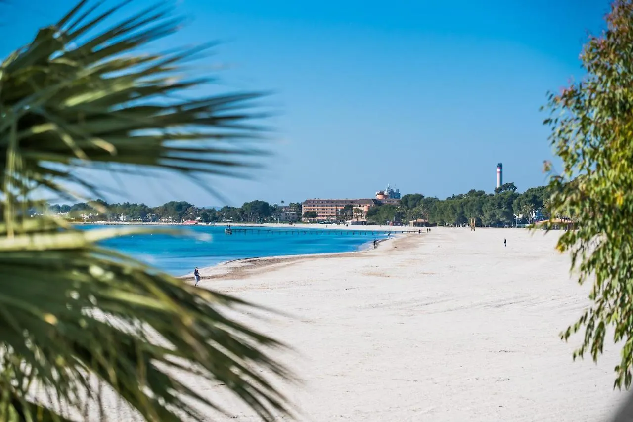 Appartement Ideal Property Mallorca - Carabela 44 Alcúdia